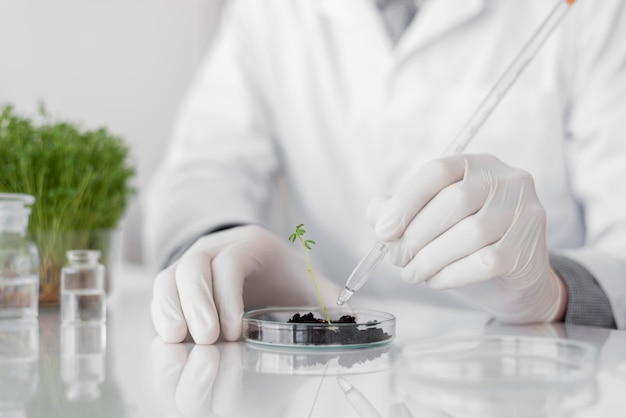 Foto homem em laboratório fazendo experimentos perto de broto