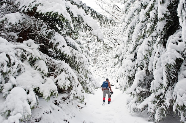 Homem em pinheiros cobertos de neve nas montanhas dos Cárpatos