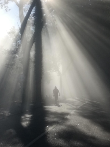 Homem em silhueta caminhando na estrada durante o tempo nebuloso