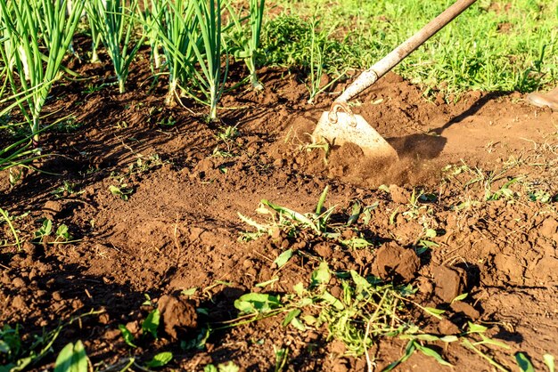 Homem em um jardim com uma enxada em ação