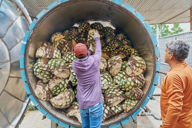 Homem empilhando agave no forno pronto para cozinhar no vapor