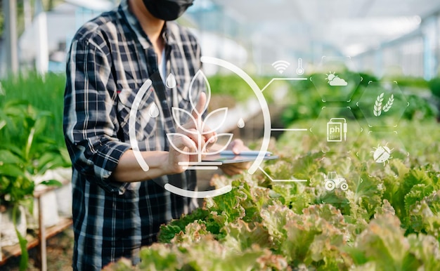 Homem entrega alface de jardinagem em fazenda com processo de crescimento e fórmula química em fundo verde com ícone VR