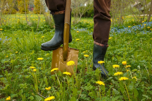 Homem está cavando solo de primavera com um garfo