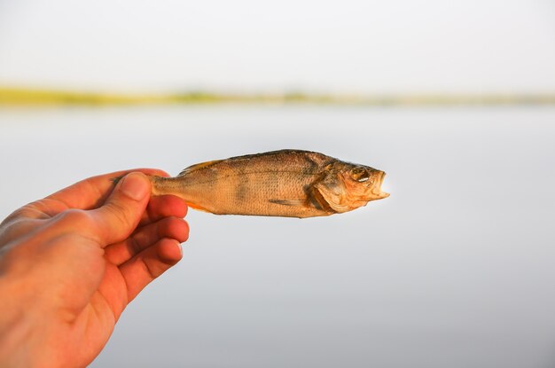 Homem está segurando o peixe seco salgado nas mãos ao ar livre.