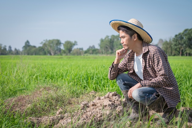 Homem fazendeiro asiático sentado pensando no problema da fazenda em um campo de arroz