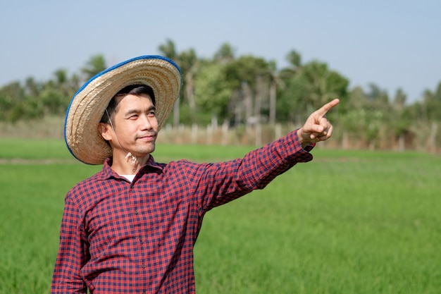 Homem fazendeiro asiático sorrindo e erguendo a mão apontando para uma fazenda de arroz verde