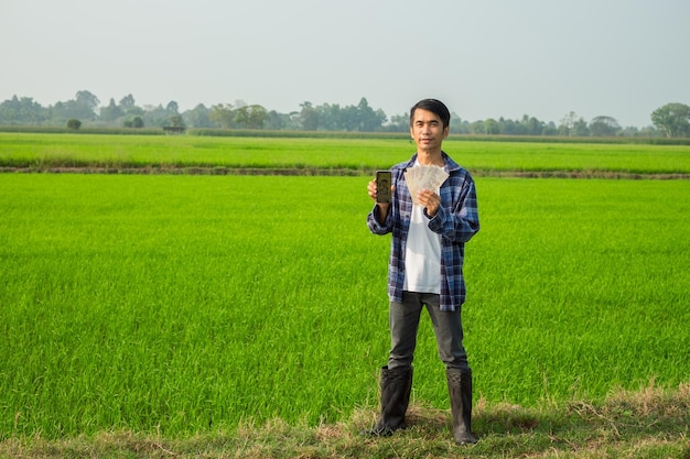 Homem fazendeiro de corpo inteiro segurando smartphone e nota de dinheiro em uma fazenda de arroz verde