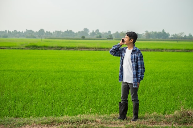 Foto homem fazendeiro segurando um smartphone em uma fazenda de arroz verde