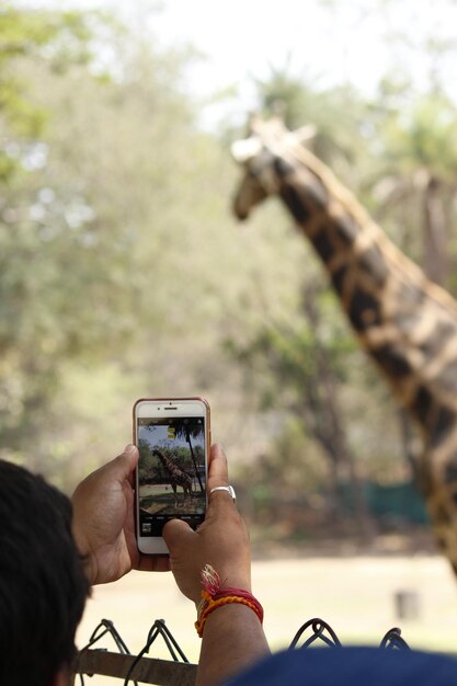 Foto homem fotografando girafa no zoológico