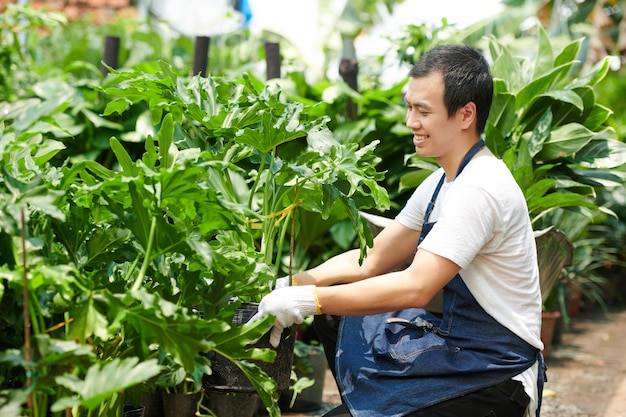 Homem gostando de trabalhar com plantas