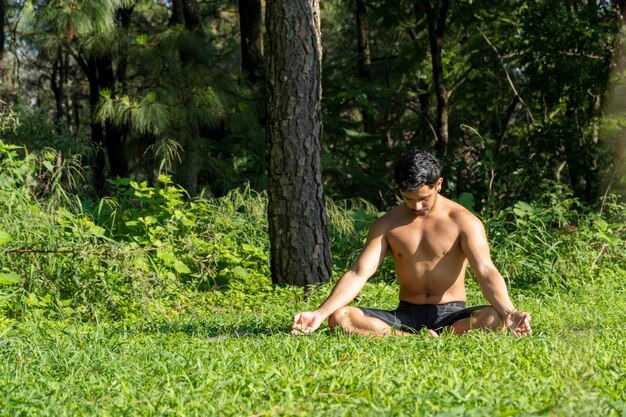 Homem hispânico e latino meditando no meio de uma floresta recebendo raios solares pele marrom méxico