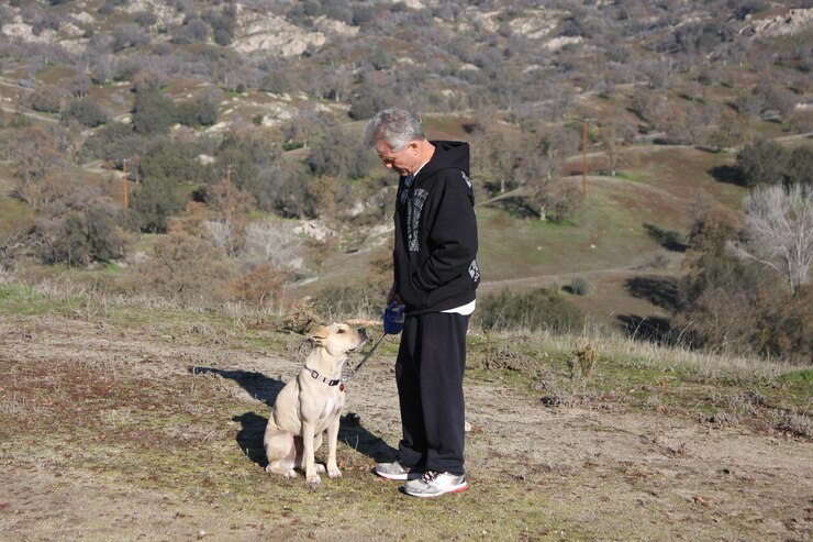 Foto homem idoso de comprimento completo com cão de pé no campo