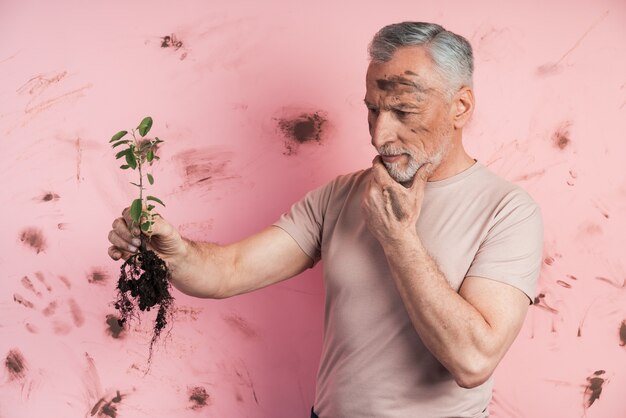 Homem idoso examina a planta