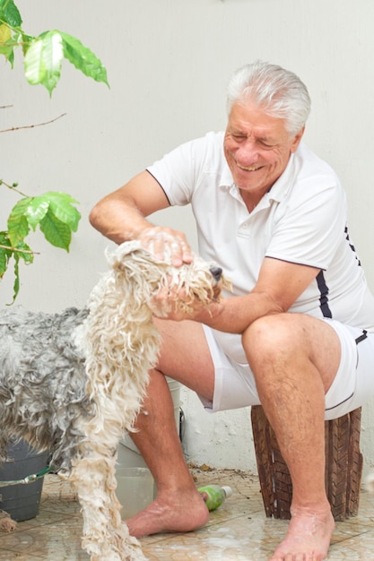Foto homem idoso lava seu cachorro bobtail de estimação em seu quintal