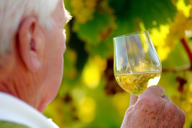 Homem idoso provando vinho branco na vinha de perto