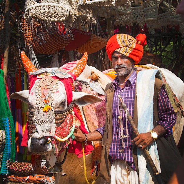 Homem indiano inteligente e vaca em decorações tradicionais