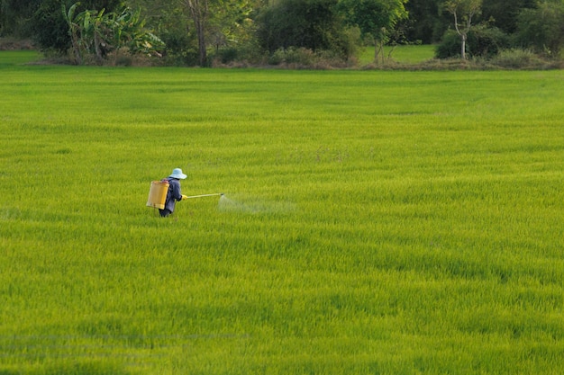 Homem irrigando campos conceito de agricultura