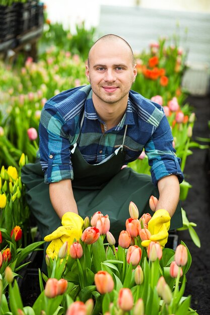 Homem jardineiro com ferramentas de jardim na estufaFloristas homem trabalhando com flores em uma estufa Primavera muitas tulipas conceito de floresCultivo industrial de flores