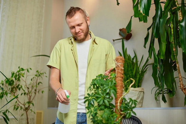 Homem jardineiro pulverizando regando o pote Schefflera em casa