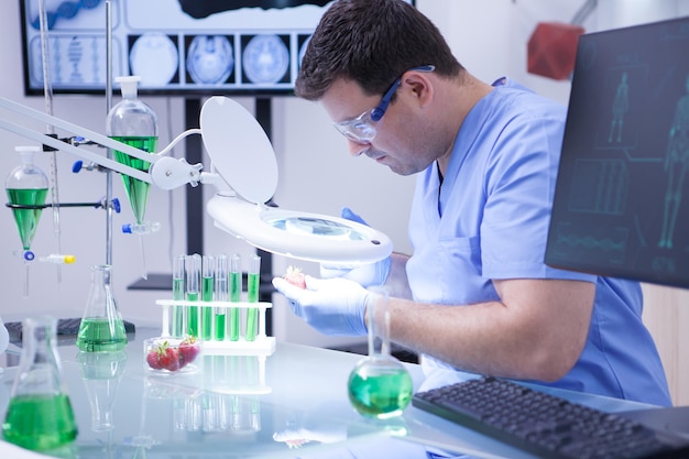 Homem jovem cientista olhando através de uma lupa em um morango em um laboratório de pesquisa. controle de qualidade.