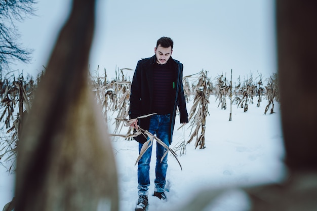 Homem jovem, em, campo milho, ficar, em, a, neve