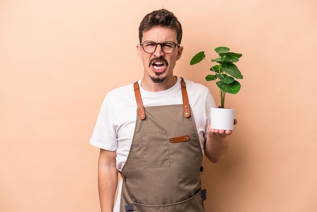 Homem jovem jardineiro caucasiano segurando uma planta isolada em fundo bege gritando muito irritado e agressivo