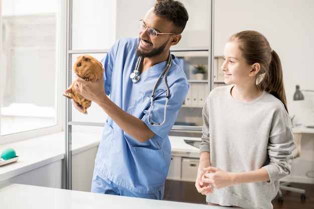 Homem jovem, uniforme azul, de, veterinário, segurando, bronzeado, porco guinea, enquanto, consulta, menininha, sobre, cuidar, animal estimação