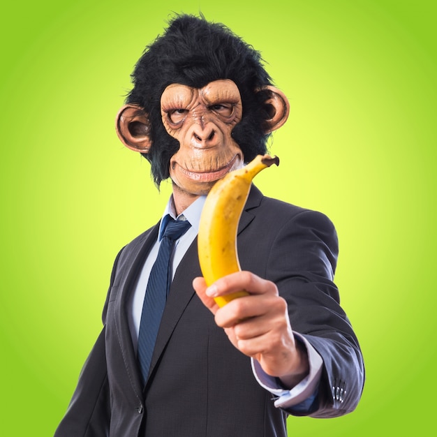 Homem macaco segurando uma banana em fundo colorido