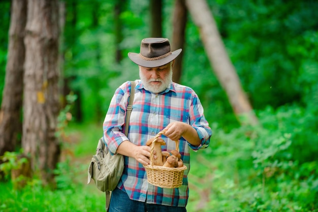 Homem maduro com cogumelos na cesta sobre fundo de floresta velho andando vovô pensionista sênior ...