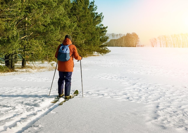 Homem maduro, esquiando na floresta de inverno, campo ao pôr do sol. Pessoas ativas ao ar livre.