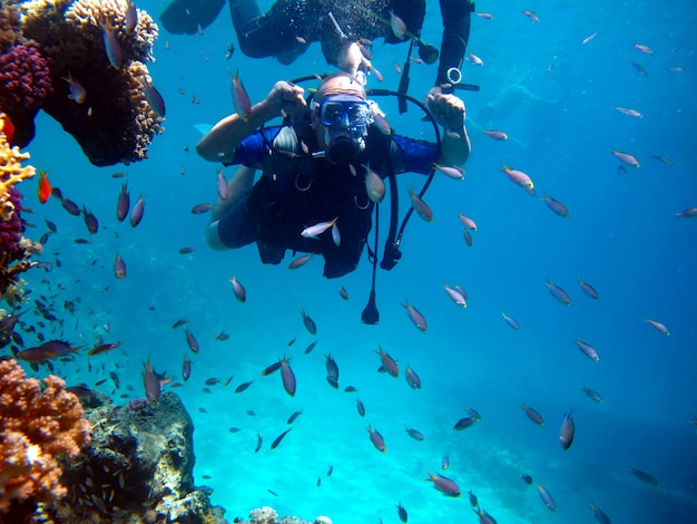 Homem mergulhador e lindo recife de coral colorido debaixo d'água