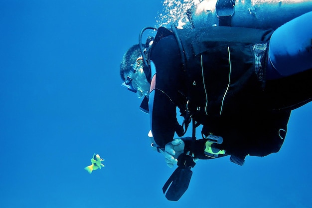 Foto homem mergulhando com peixes no mar