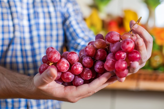 Homem mostrando um cacho de uvas.