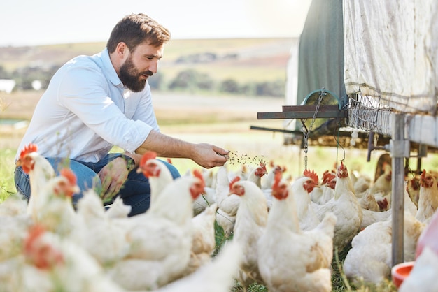 Foto homem na fazenda alimenta frango e agricultura com gado de aves e sustentabilidade com agronegócio orgânico agricultor na saúde animal rural com meio ambiente e processo agrícola ao ar livre