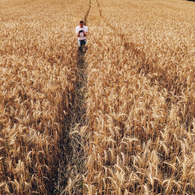 Foto homem no campo de trigo