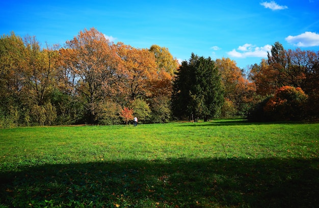 Homem no cenário de paisagem do parque outono