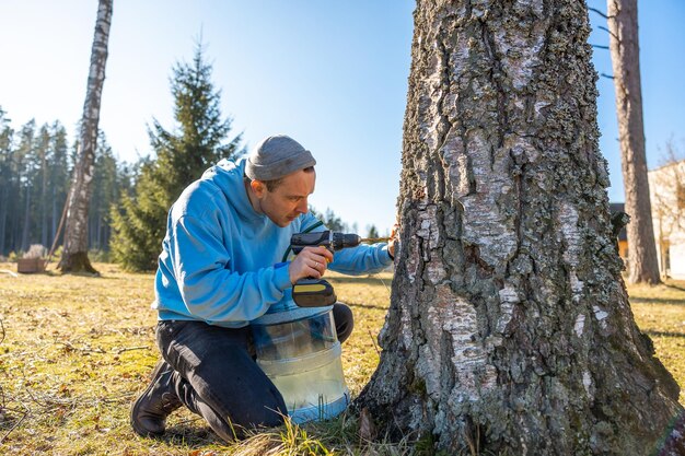 Foto homem observando de perto o fluxo de seiva de bétula em um recipiente em um dia claro praticando a extração sustentável de árvores em uma área florestal