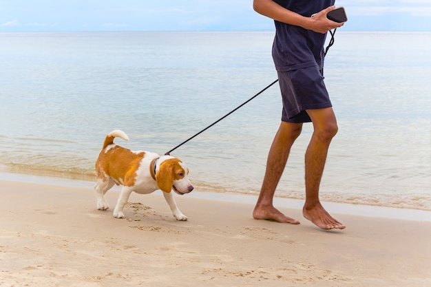 Homem passeando com seu cachorro de estimação na praia pela manhã