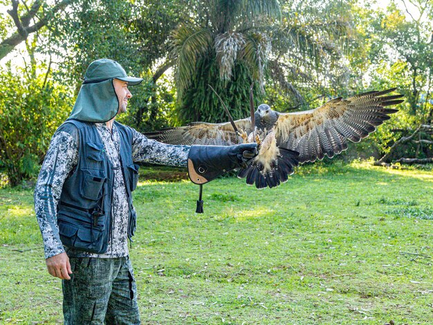 Homem praticando falcoaria com o urubu-de-peito-preto