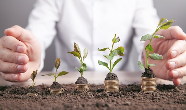 Homem protege a pilha de moedas com plantas.