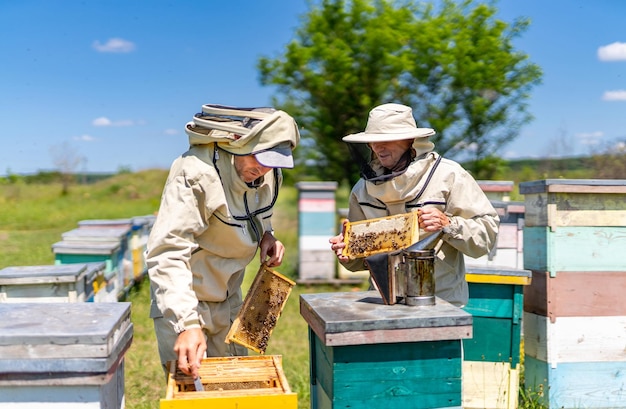 Homem que cultiva mel no apiário Favos de mel de apicultura de verão de madeira