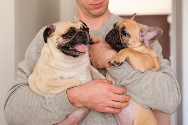 Homem que guarda seu cão do pug dos animais de estimação e buldogue francês. cães e proprietário, animais de estimação, união, conceito de amizade.