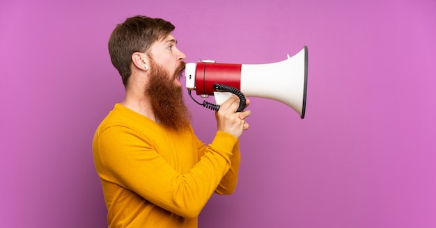 Homem ruivo com barba longa sobre roxo isolado gritando através de um megafone