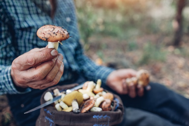 Homem segura um punhado de cogumelos oleosos