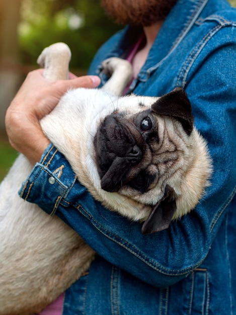 homem segurando cachorro pug nas mãos