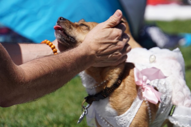 Foto homem segurando cão