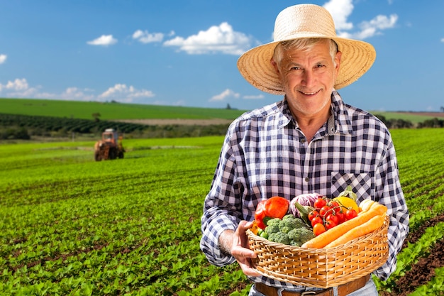 Homem segurando cesta com vegetais orgânicos saudáveis. Fundo de plantação.