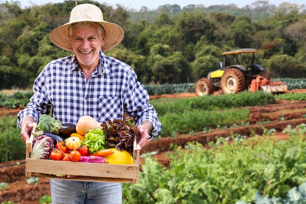 Foto homem segurando cesta com vegetais orgânicos saudáveis. fundo de plantação.