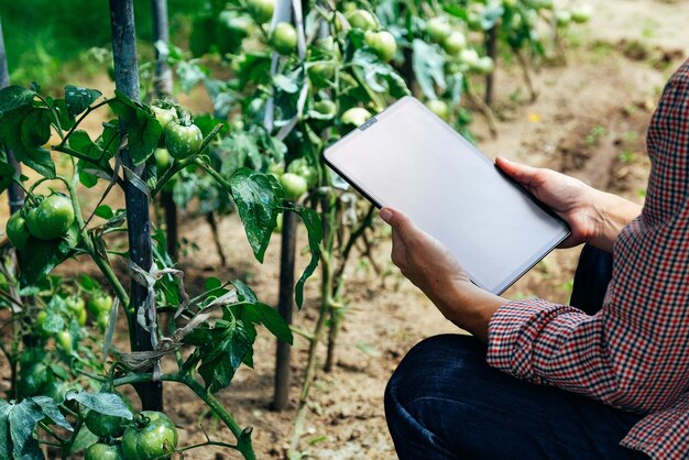 Foto homem segurando telefone móvel enquanto está sentado no campo