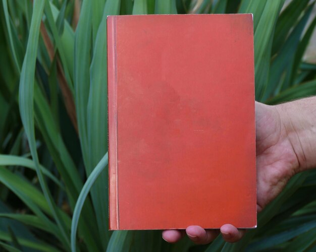 Foto homem segurando um livro em branco na frente do fundo verde